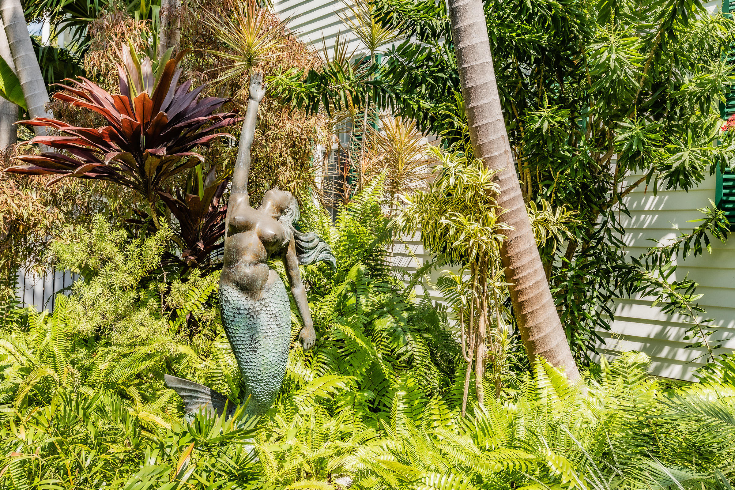 66 Front Street Key West, FL 33040 - Photo 3 of 8 a picture of flowers