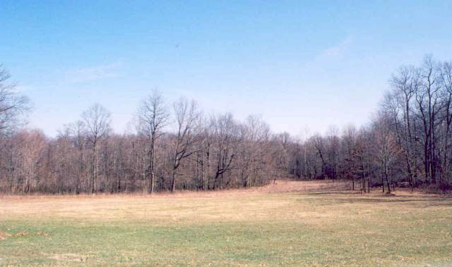 10600 Preston Road Horton, MI 49246 - Photo 3 of 5 Photo 3