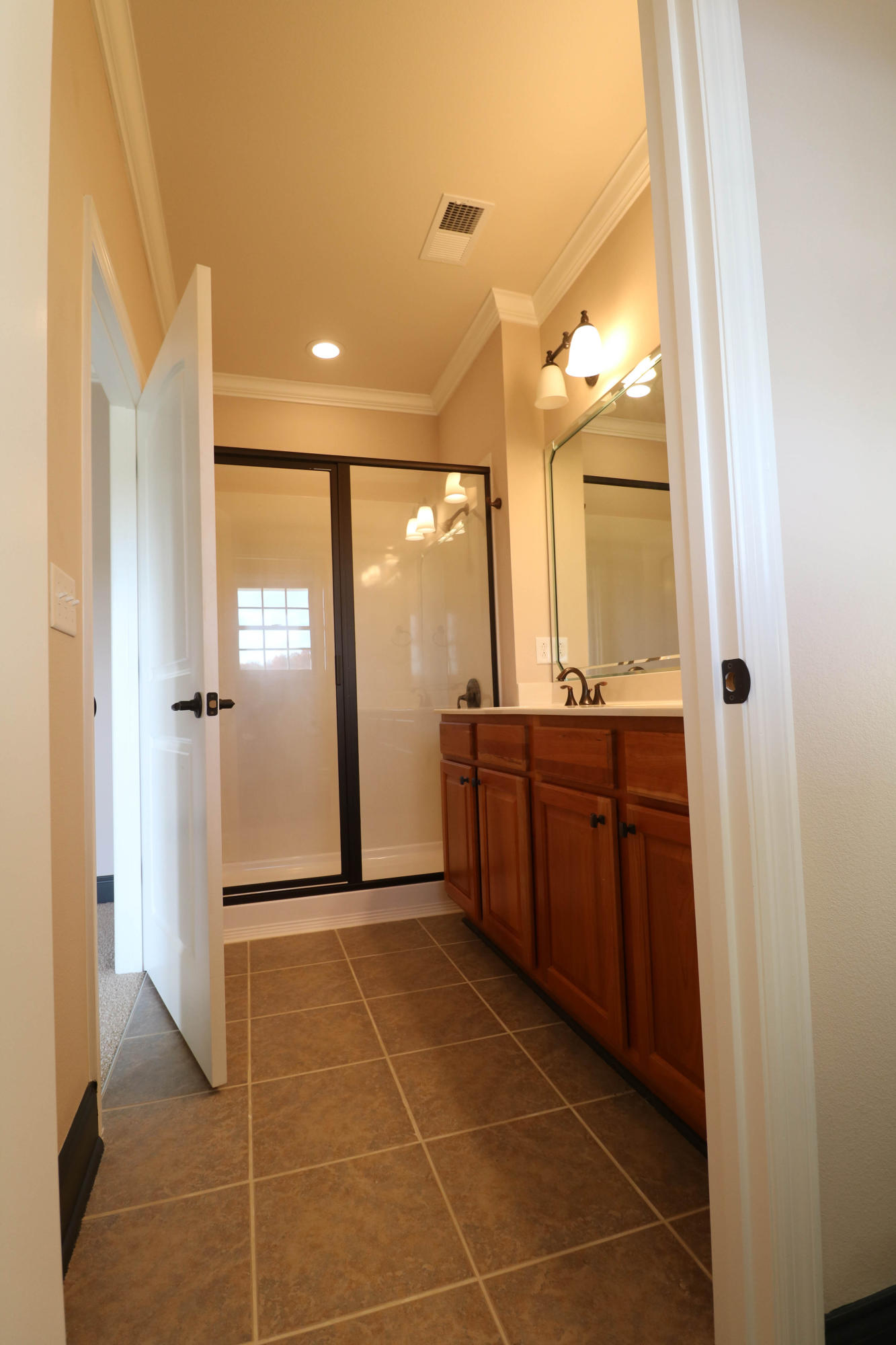 1235 New Lake Road, Unit 3 Spring City, TN 37381 - Photo 12 of 21 Master Bath 2