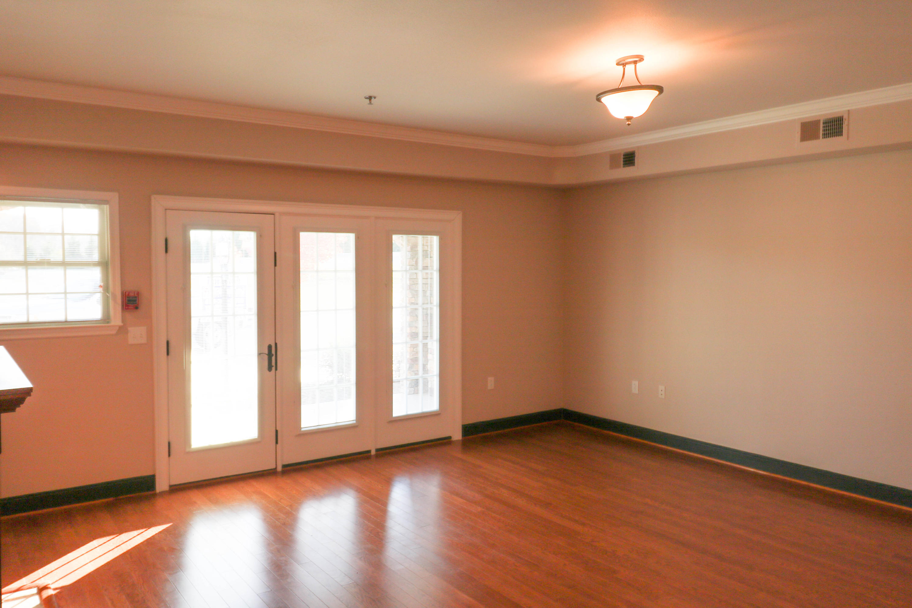1235 New Lake Road, Unit 3 Spring City, TN 37381 - Photo 4 of 21 Great Room