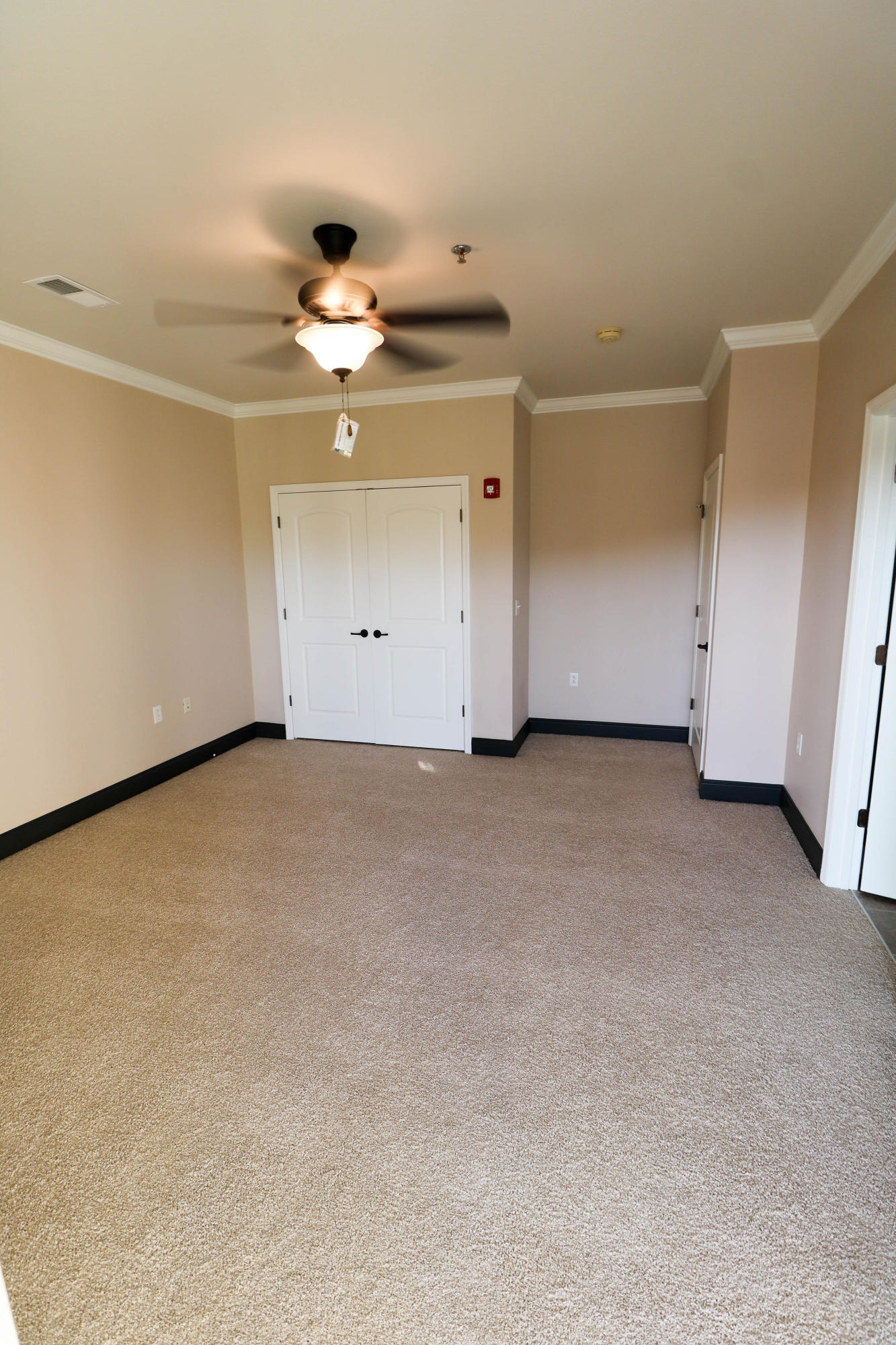 1235 New Lake Road, Unit 3 Spring City, TN 37381 - Photo 8 of 21 Master Bedroom
