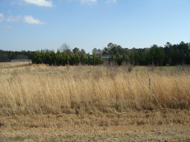 Lot 8 Rivolli Drive Pendleton, SC 29670 - Photo 3 of 4 Gallery Image 3