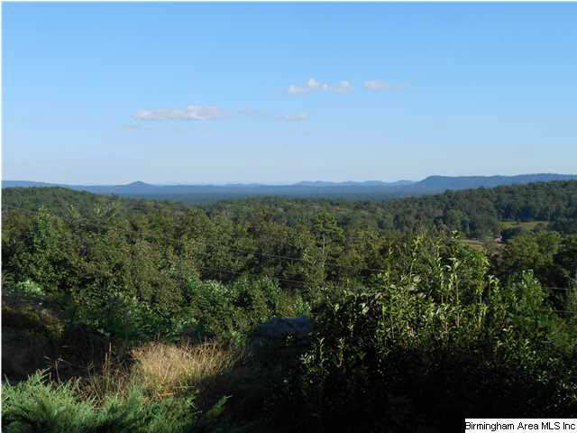 1826 Chandler Mountain Road Steele, AL 35987 - Photo 3 of 24