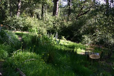 16107 Coleman Valley Road Occidental, CA 95465 - Photo 3 of 10 garden area