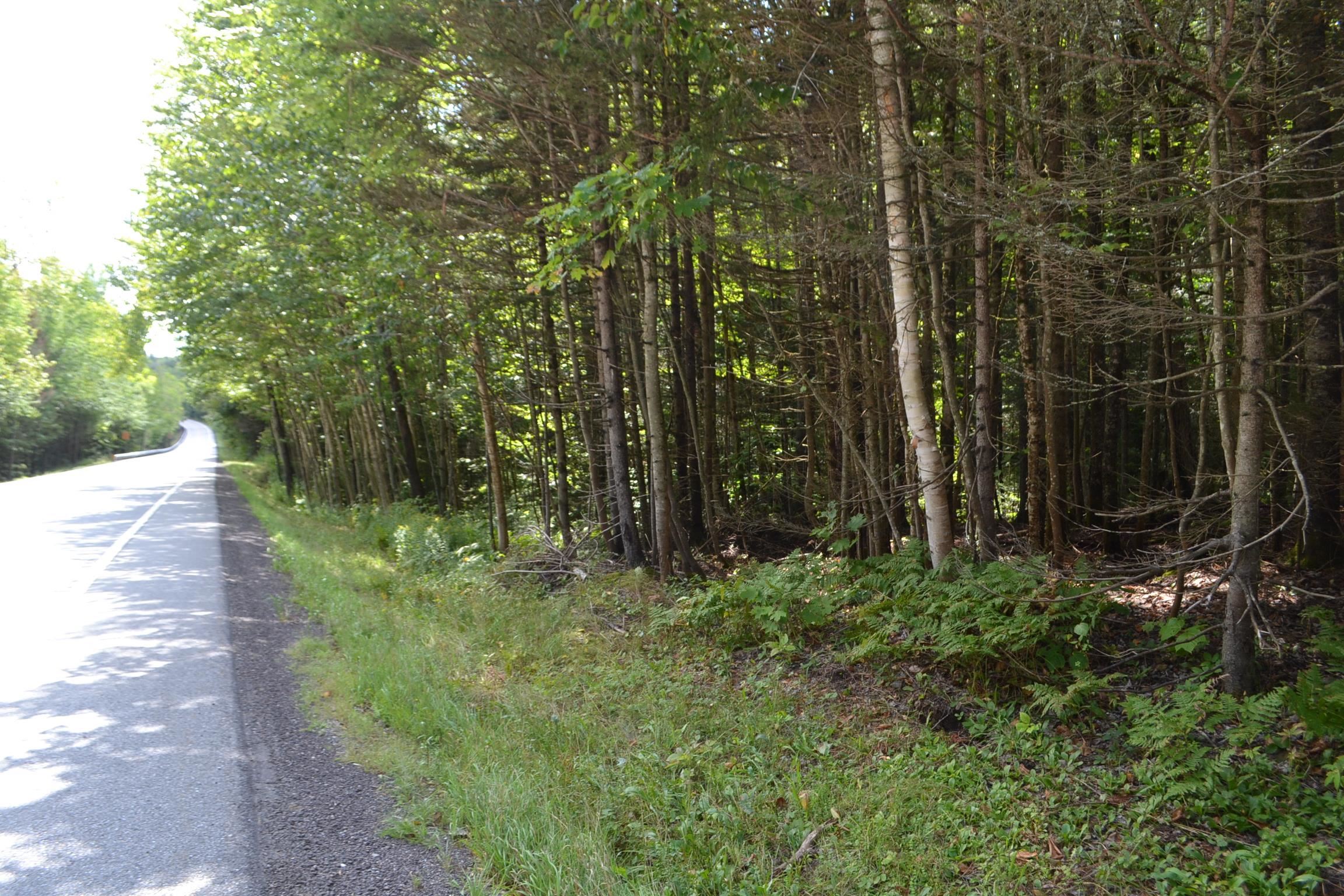 1244 Elmore Road Worcester, VT 05682 - Photo 11 of 18