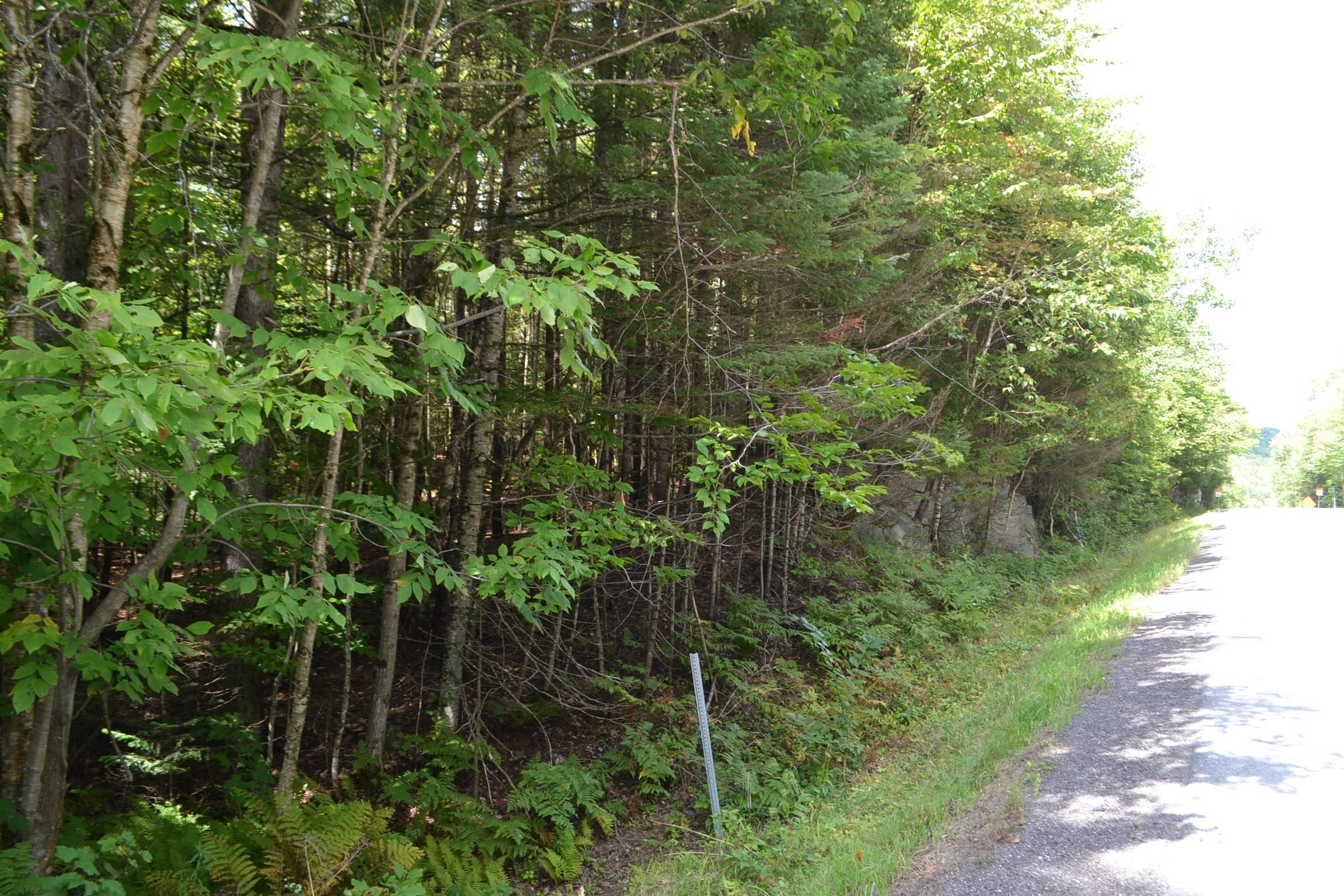 1244 Elmore Road Worcester, VT 05682 - Photo 12 of 18