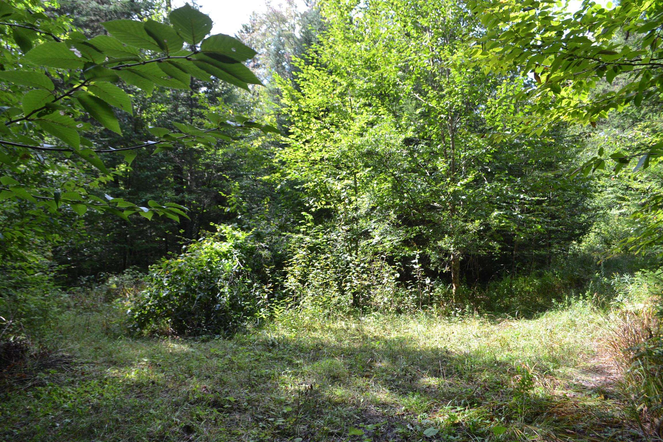 1244 Elmore Road Worcester, VT 05682 - Photo 13 of 18