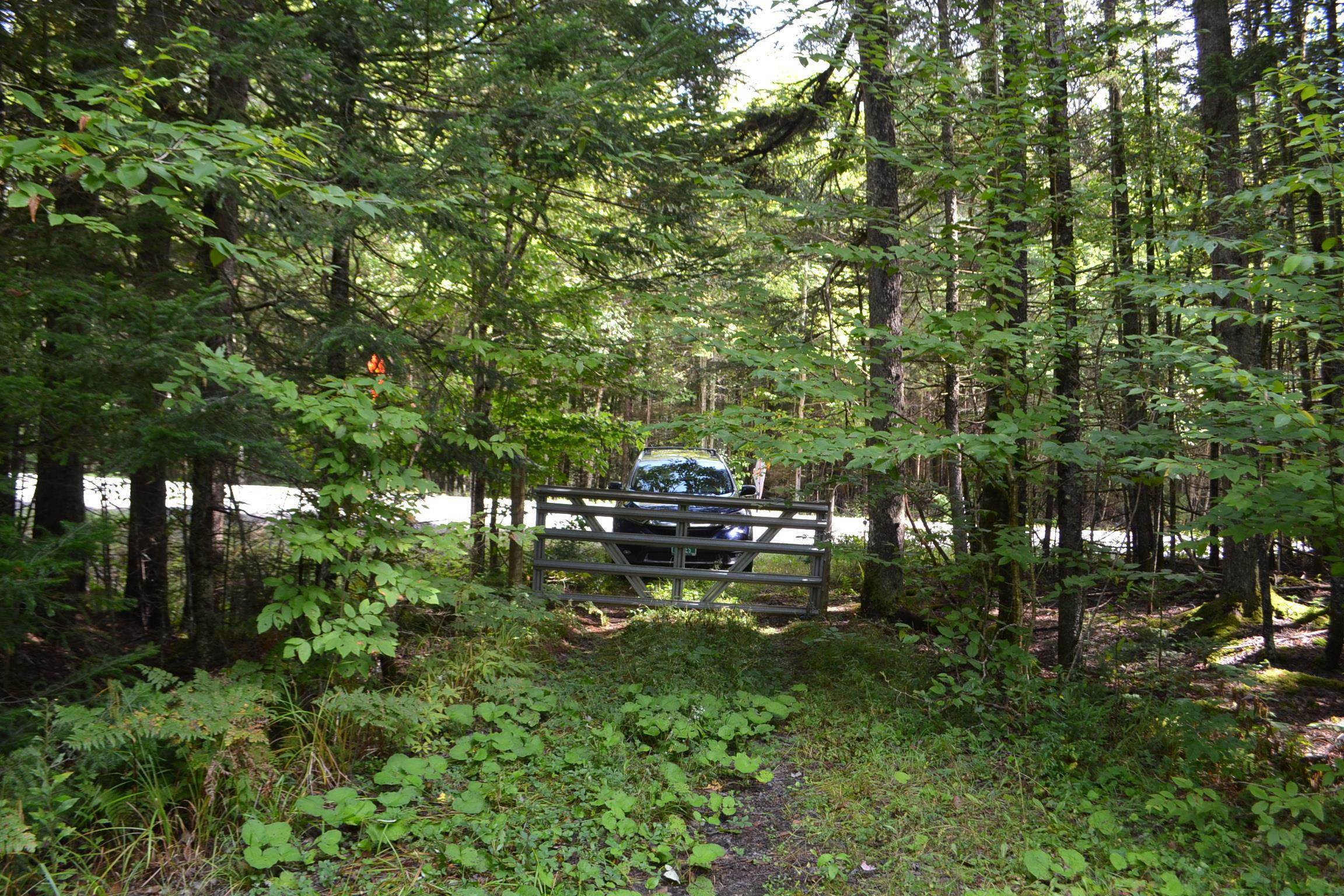 1244 Elmore Road Worcester, VT 05682 - Photo 14 of 18