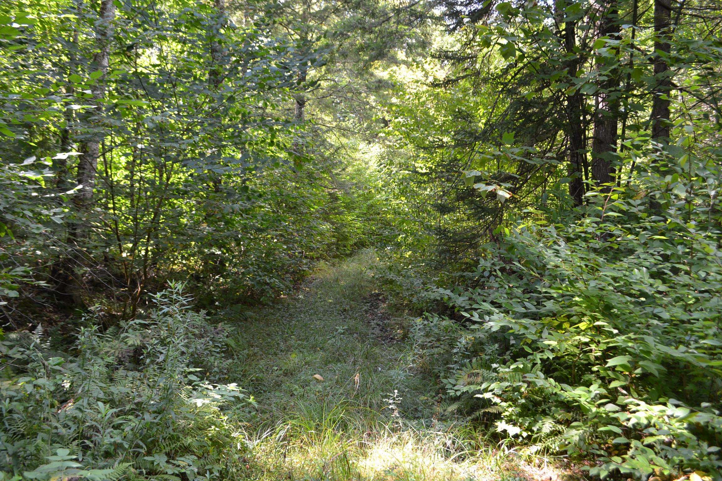 1244 Elmore Road Worcester, VT 05682 - Photo 15 of 18