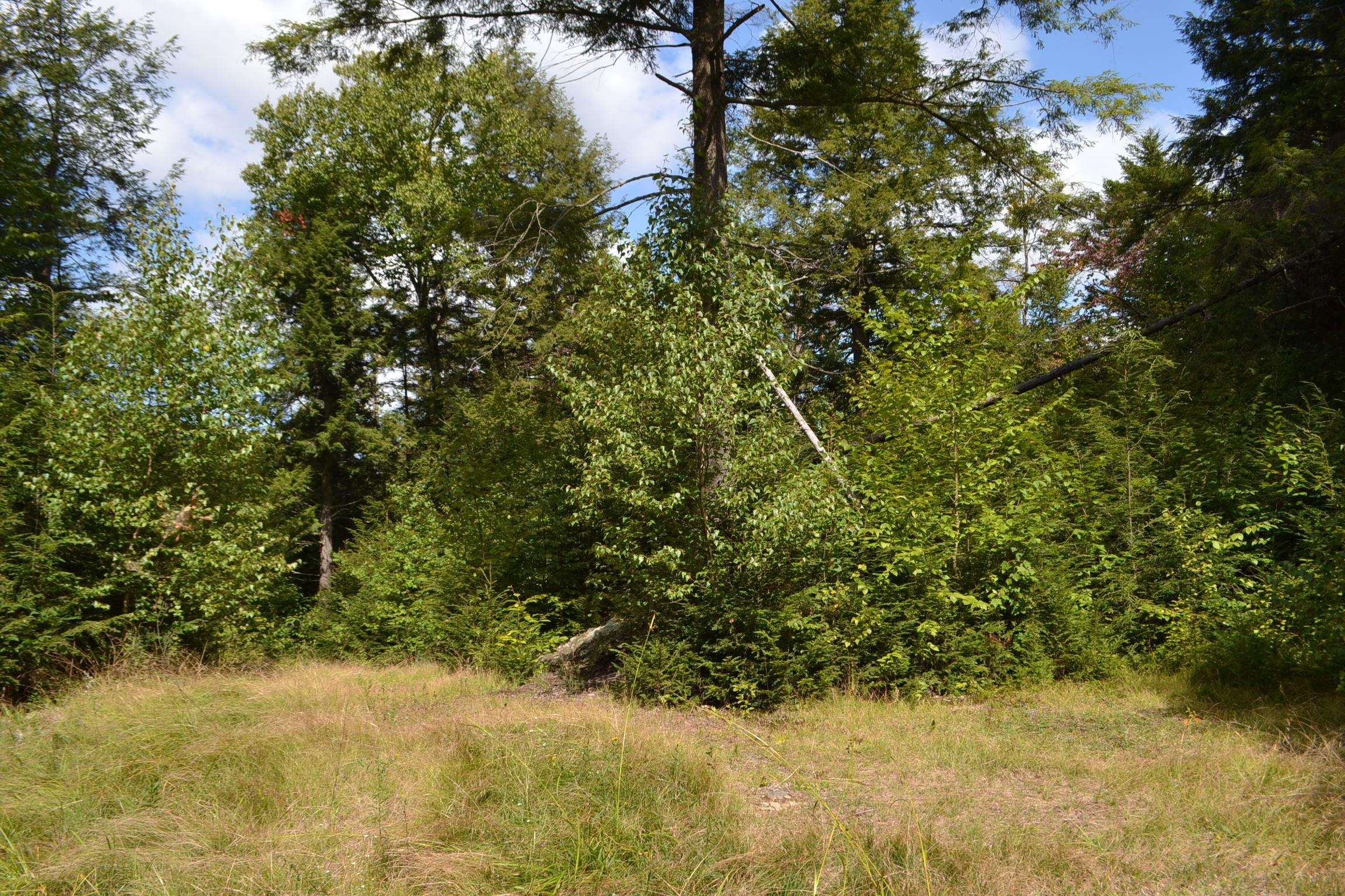 1244 Elmore Road Worcester, VT 05682 - Photo 16 of 18