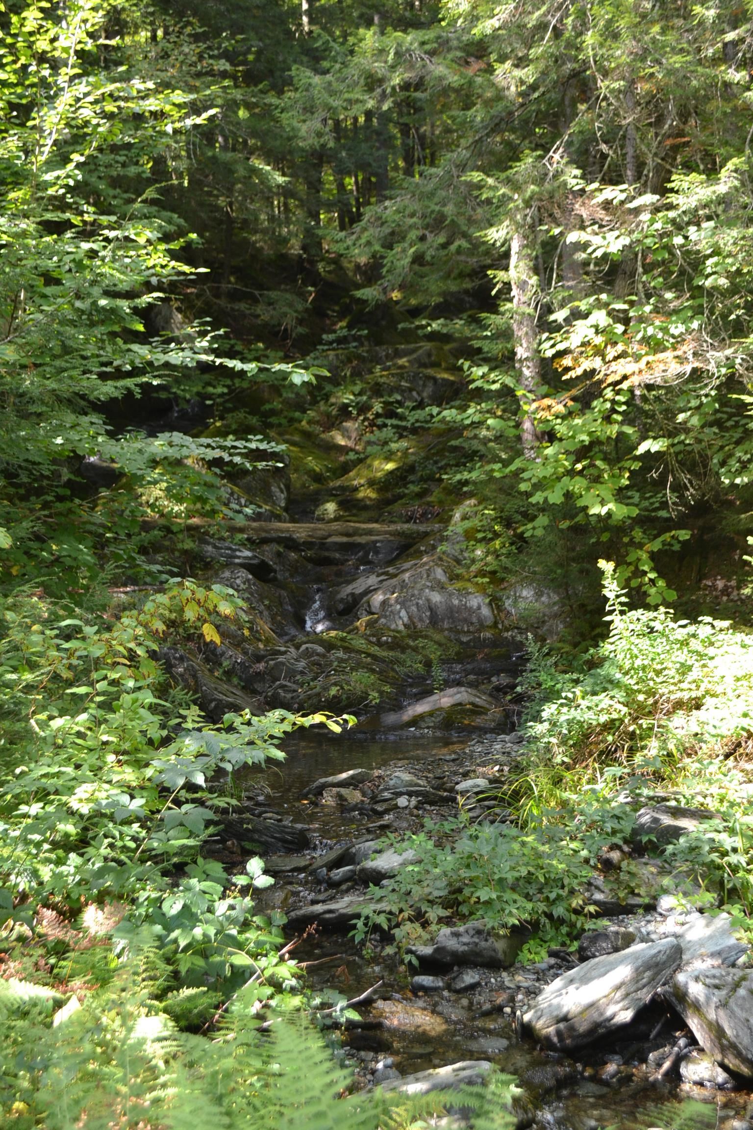 1244 Elmore Road Worcester, VT 05682 - Photo 8 of 18