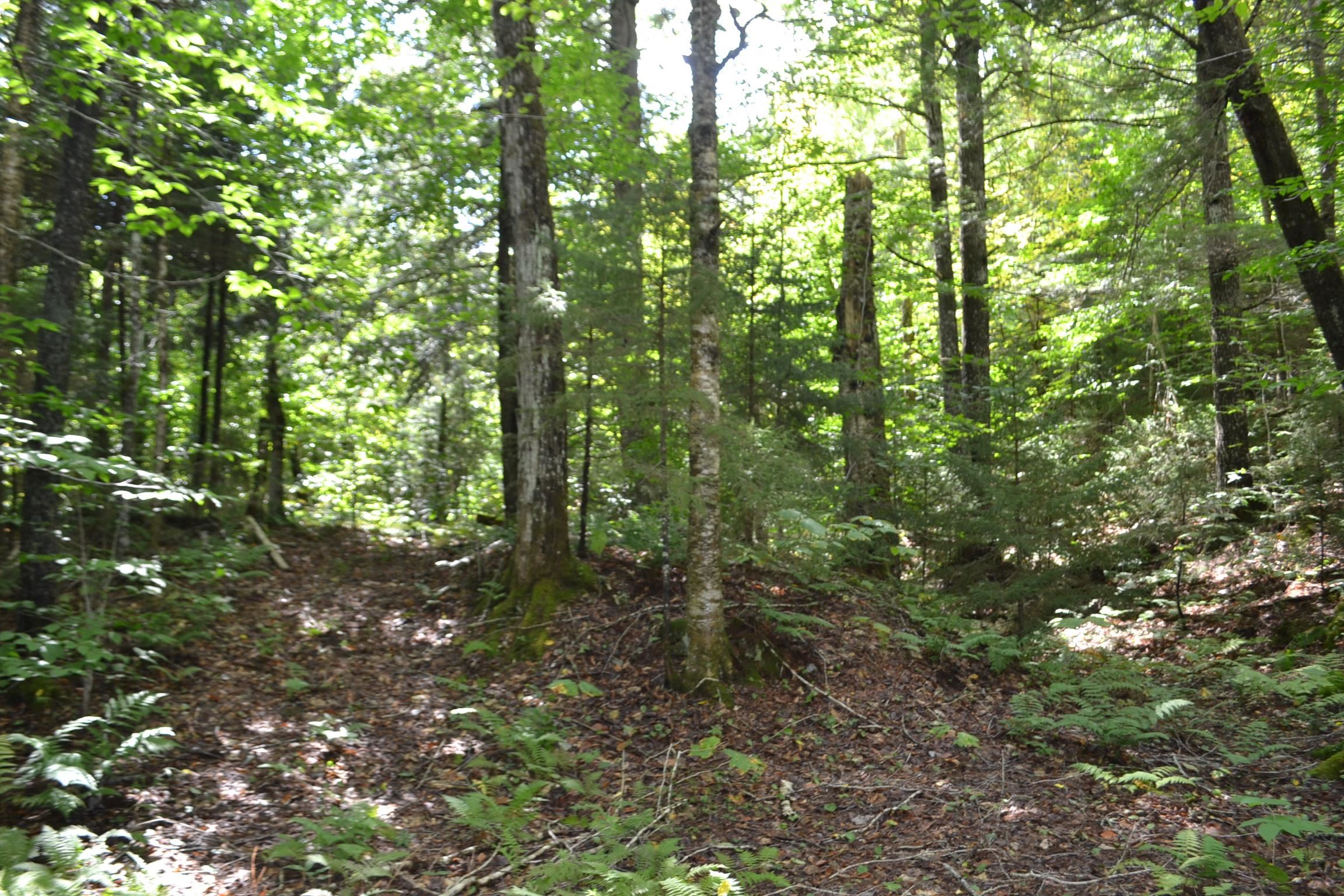 1244 Elmore Road Worcester, VT 05682 - Photo 9 of 18