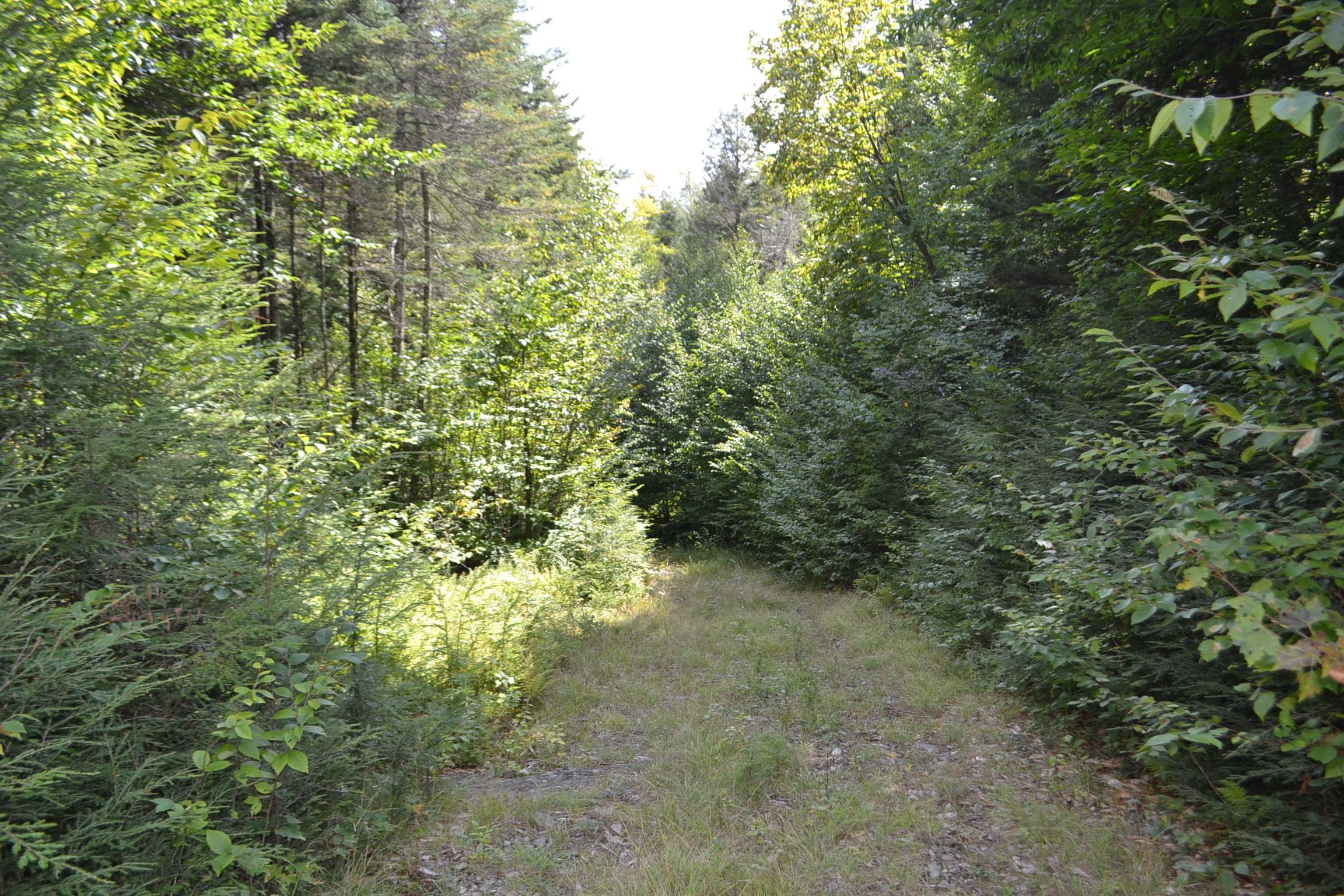 1244 Elmore Road Worcester, VT 05682 - Photo 10 of 18