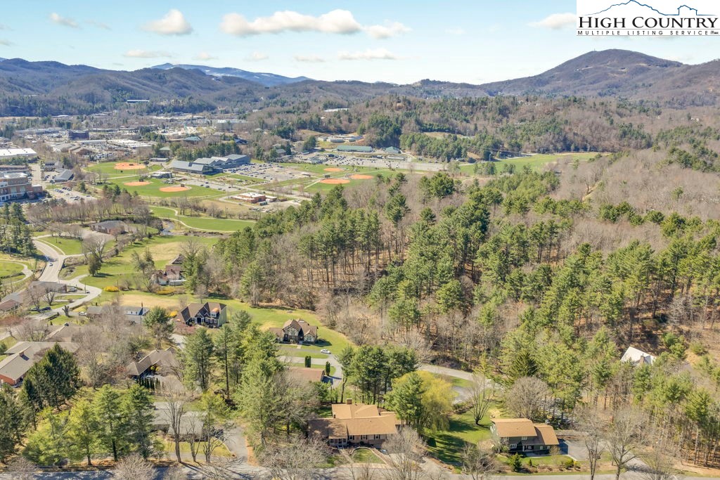 369 Blairmont Drive Boone, NC 28607 - Photo 48 of 50