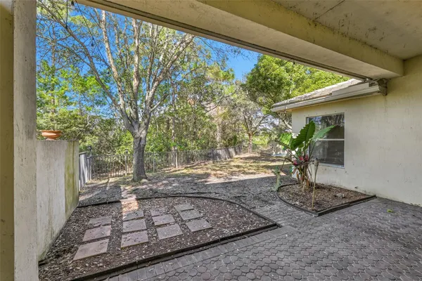 a view of a yard with plants and a fountain