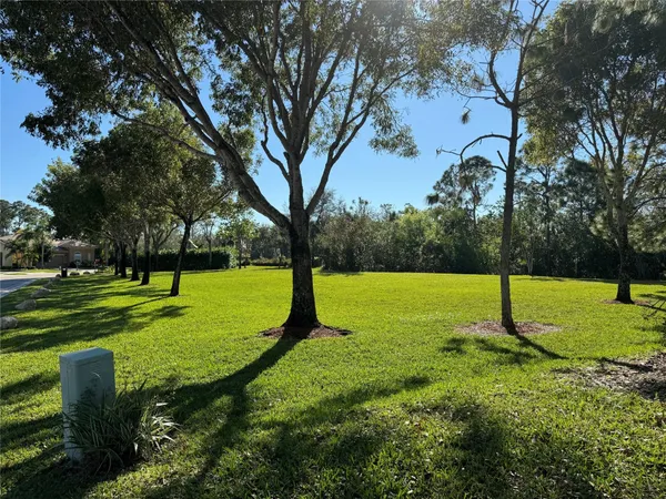 a view of a park with large trees