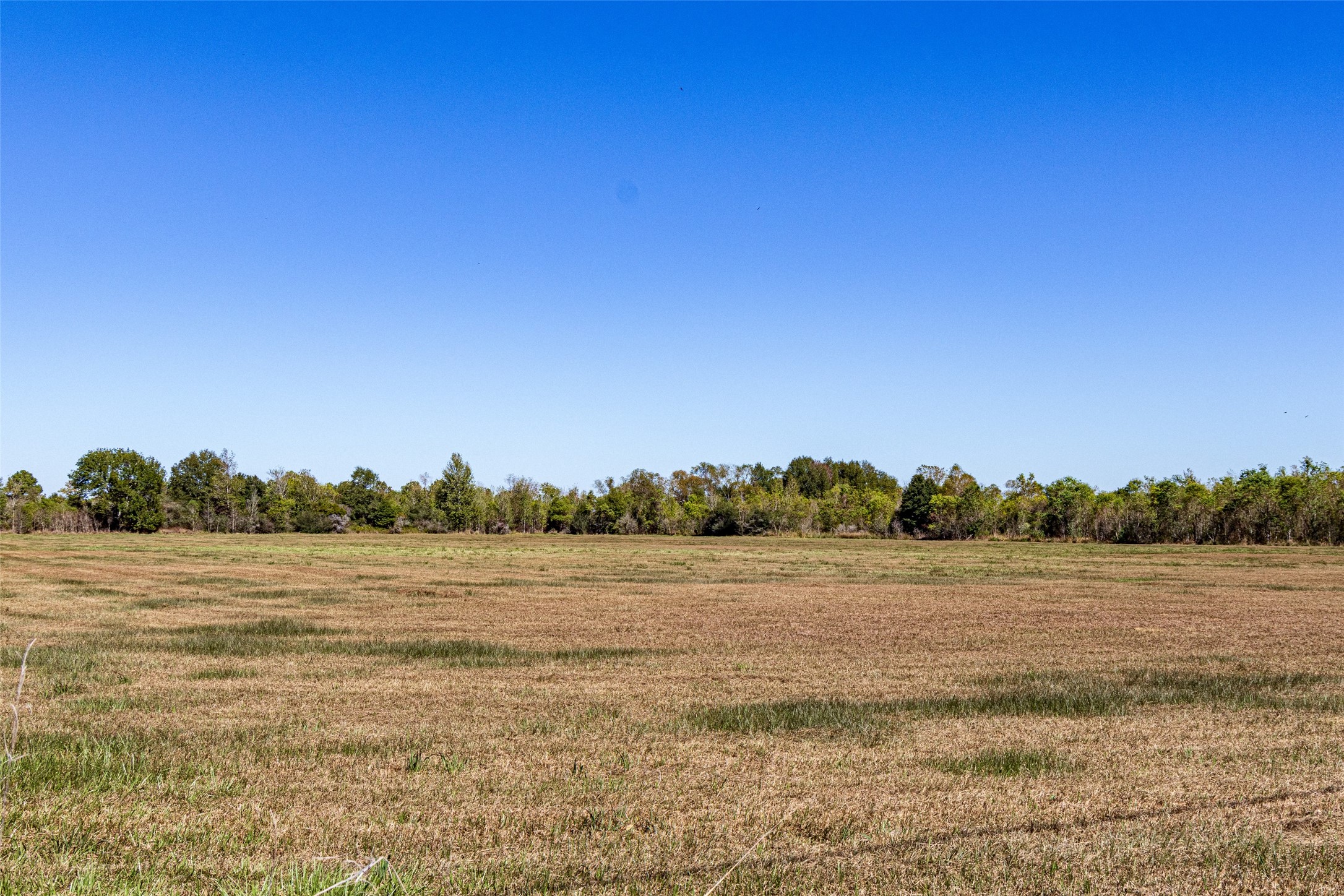 Tbd Gentry Road Beaumont, TX 77713 - Photo 3 of 14