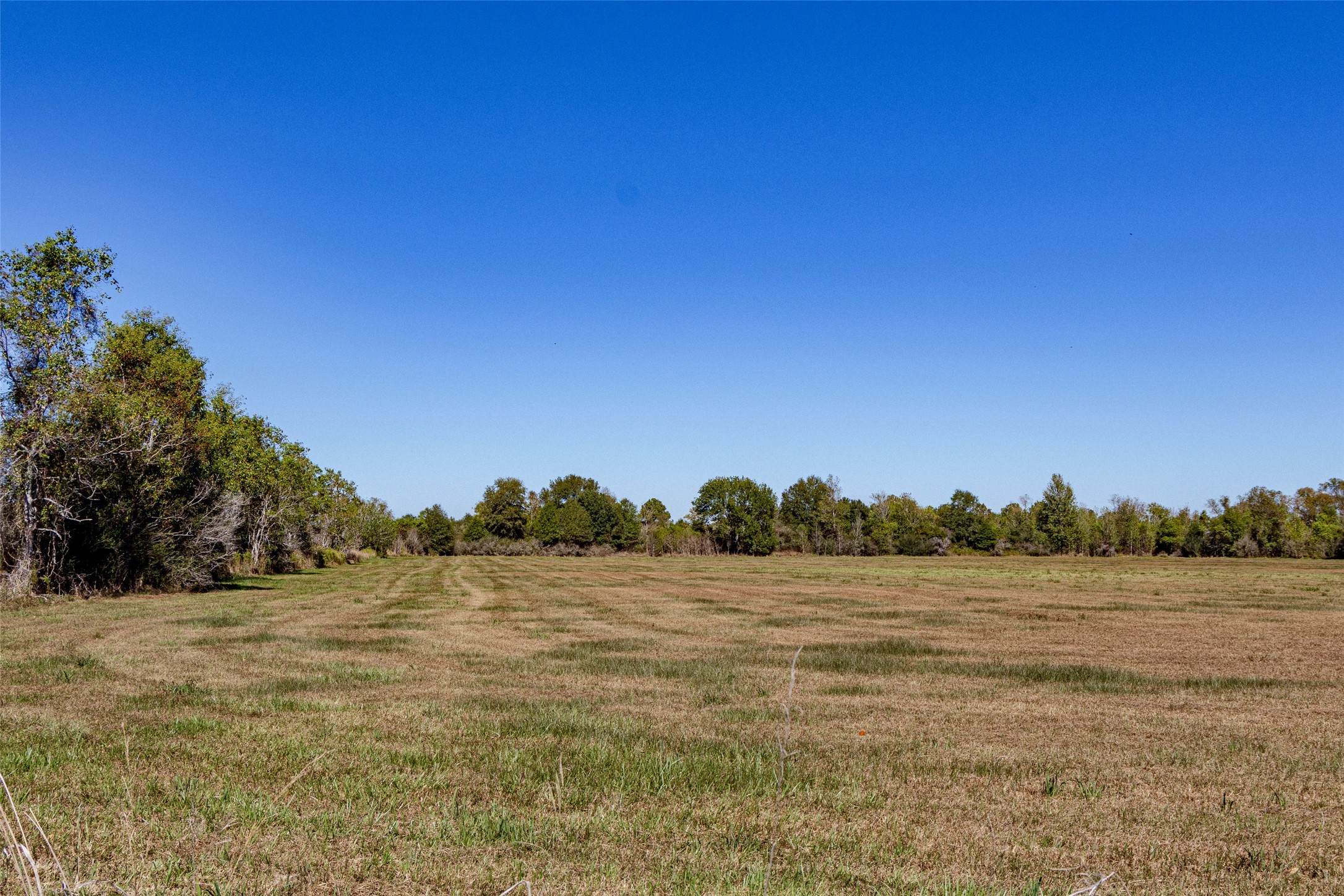Tbd Gentry Road Beaumont, TX 77713 - Photo 4 of 14