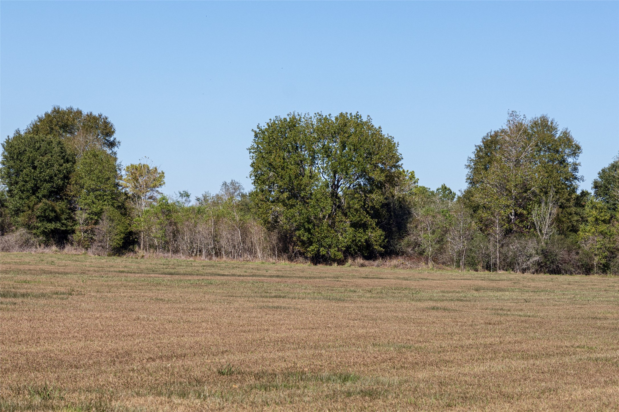 Tbd Gentry Road Beaumont, TX 77713 - Photo 6 of 14