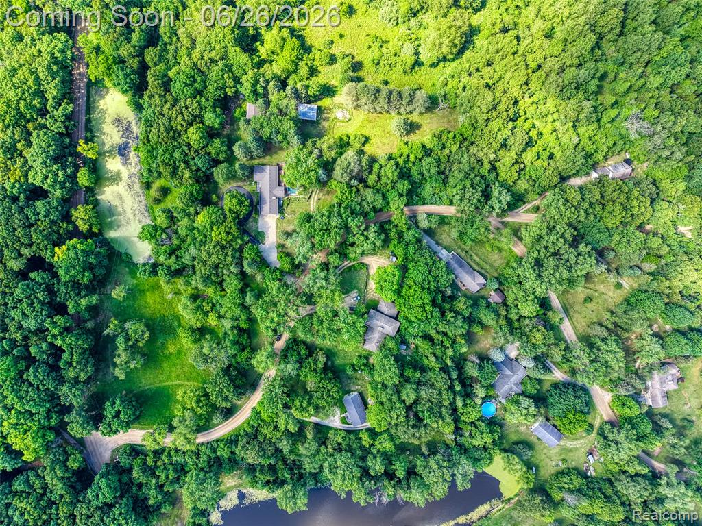 4200 Angels Pass Pinckney, MI 48169 - Photo 54 of 76