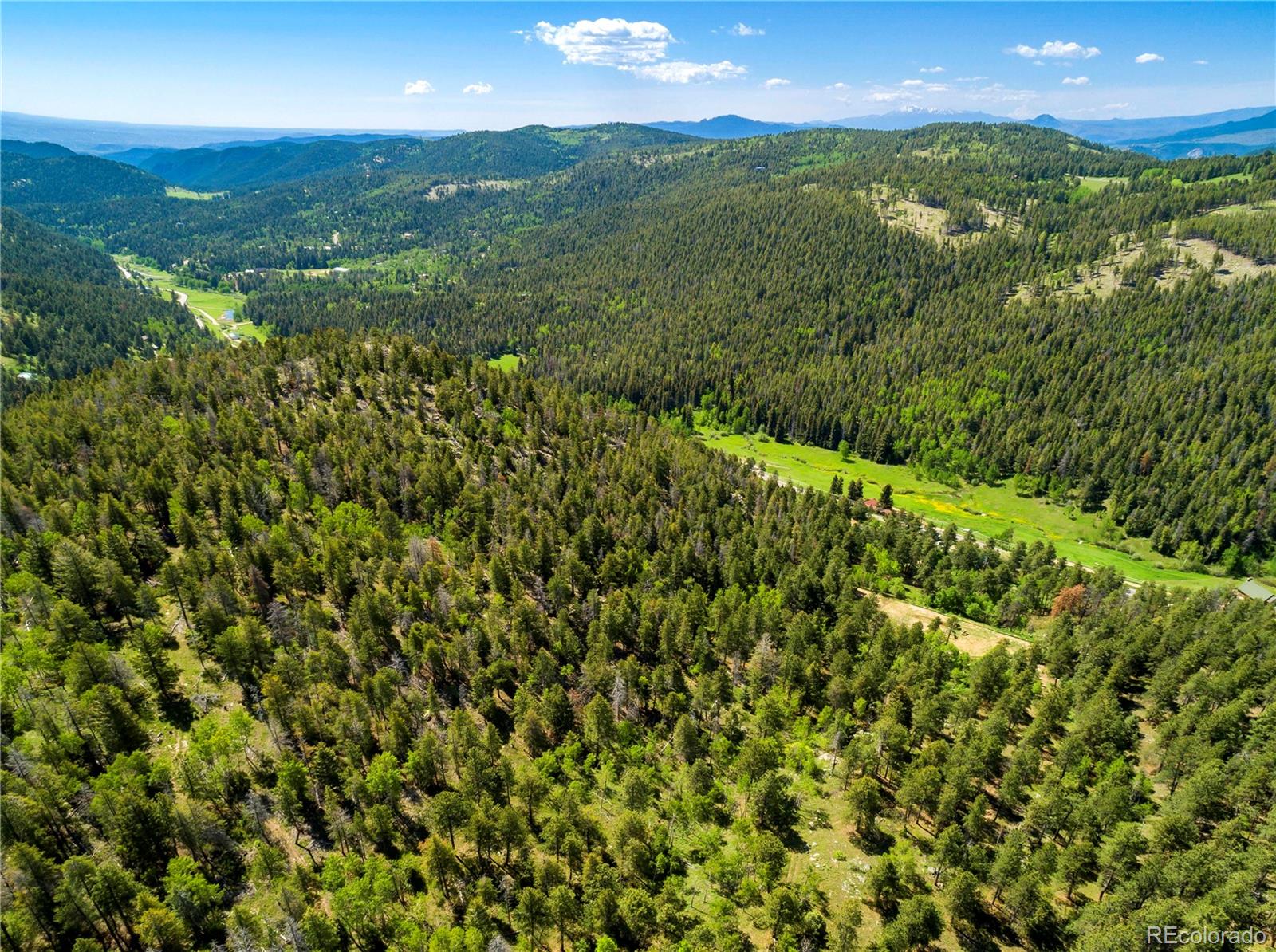 20951 Pleasant Park Road Conifer, CO 80433 - Photo 40 of 50