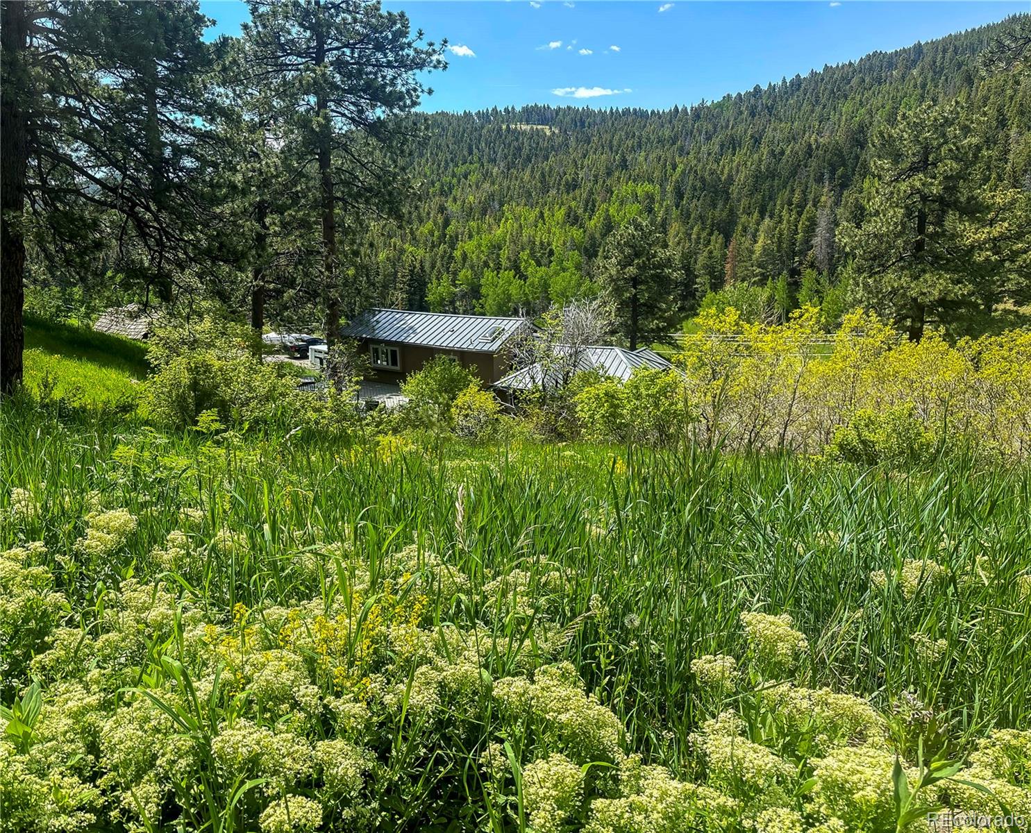 20951 Pleasant Park Road Conifer, CO 80433 - Photo 41 of 50