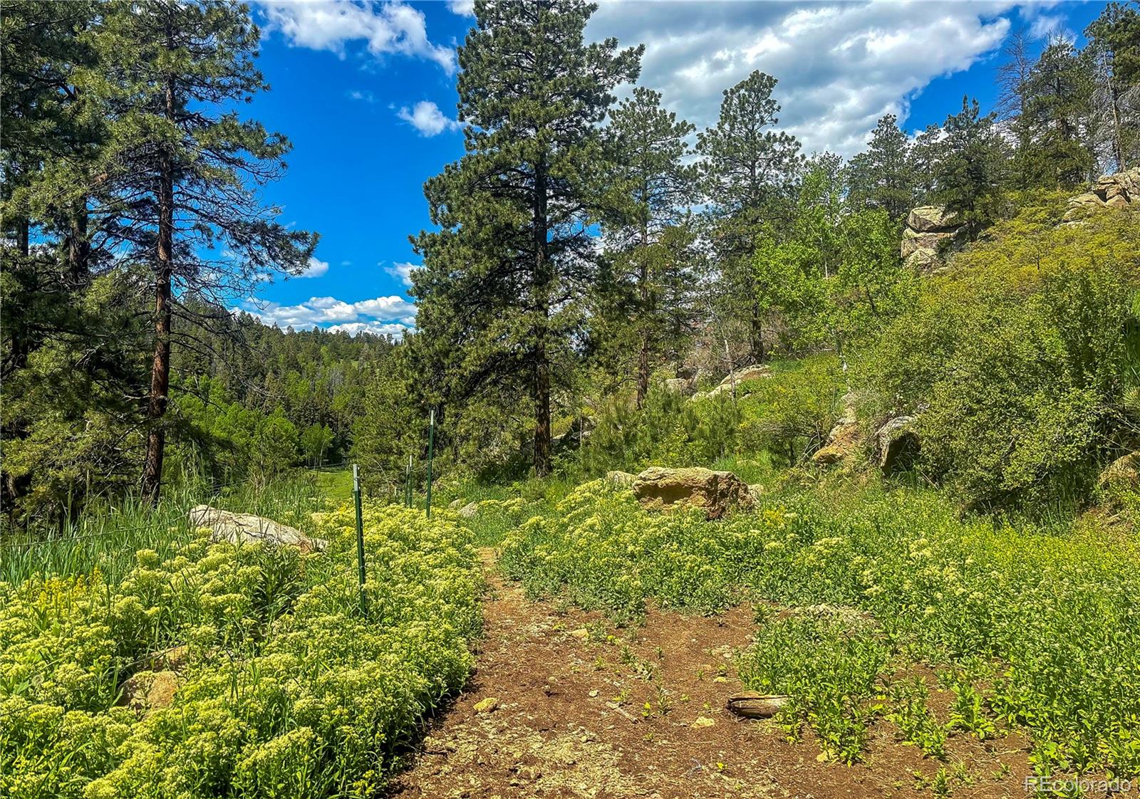 20951 Pleasant Park Road Conifer, CO 80433 - Photo 42 of 50