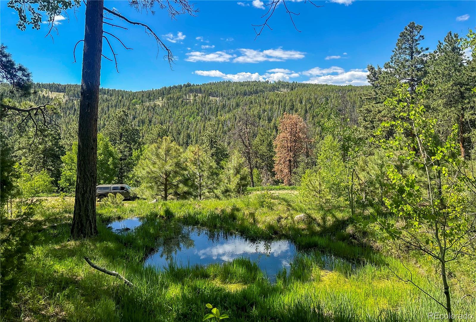 20951 Pleasant Park Road Conifer, CO 80433 - Photo 43 of 50