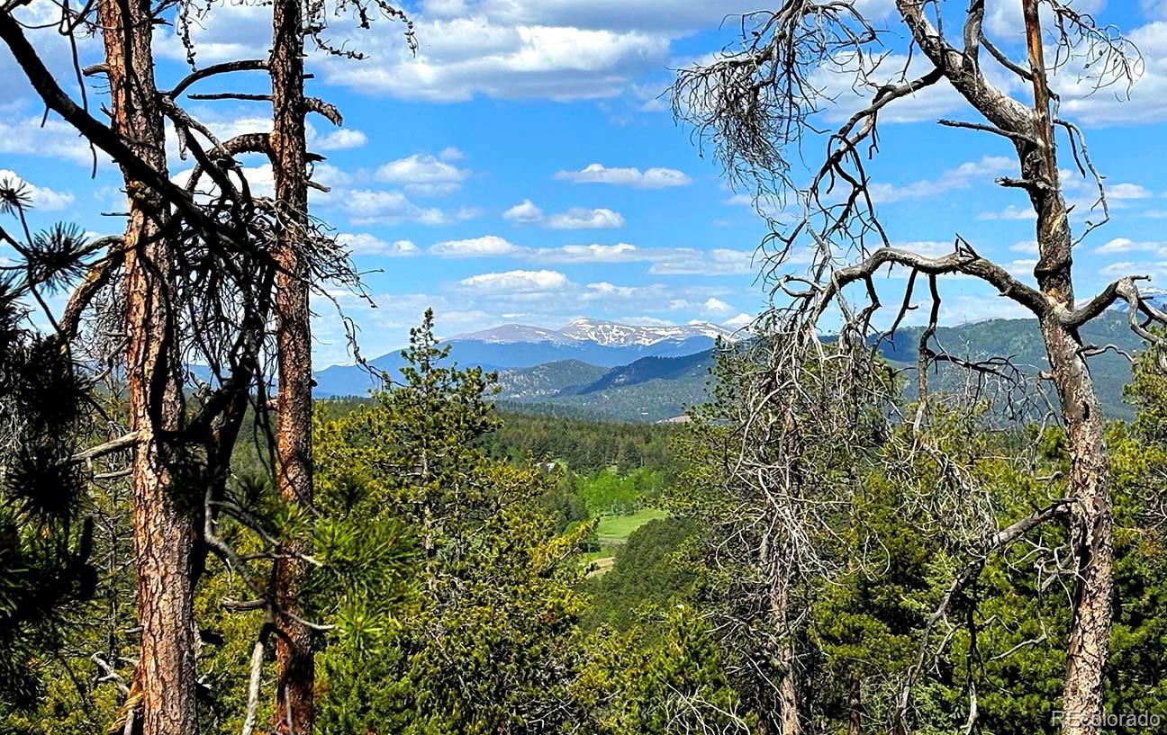 20951 Pleasant Park Road Conifer, CO 80433 - Photo 47 of 50