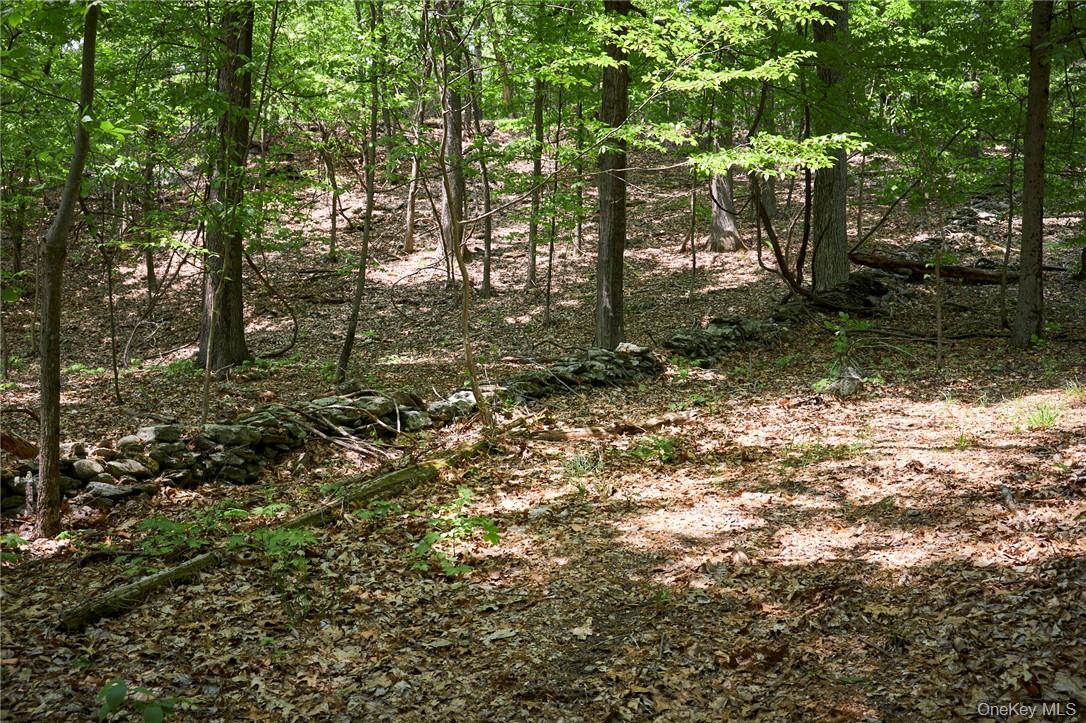 425 Spring Lake Road Red Hook, NY 12571 - Photo 11 of 23 a view of a tree in a yard