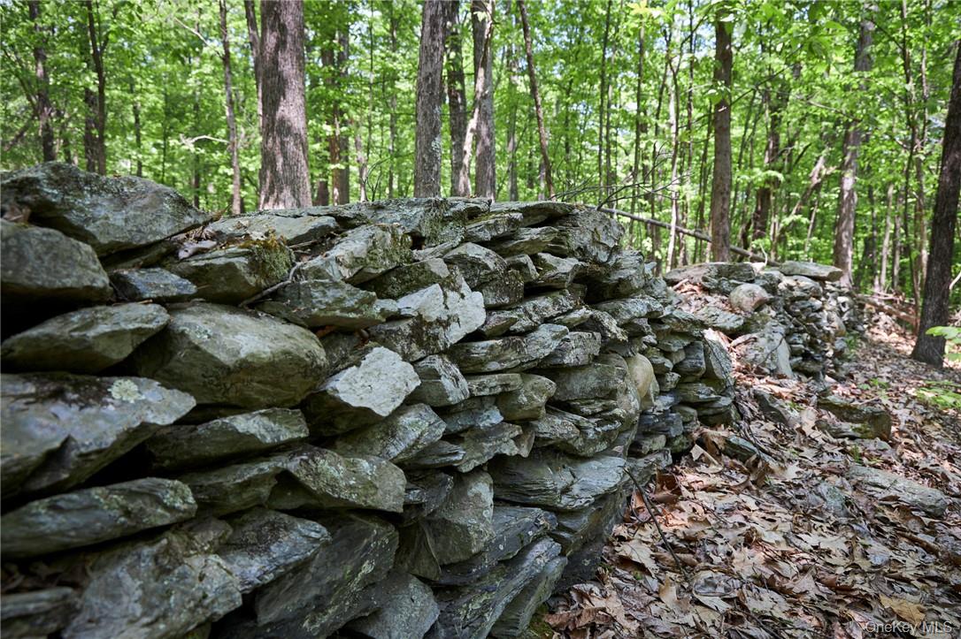 425 Spring Lake Road Red Hook, NY 12571 - Photo 12 of 23 a picture of trees with lots of trees