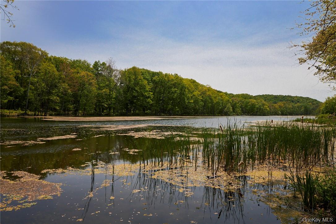 425 Spring Lake Road Red Hook, NY 12571 - Photo 15 of 23 a view of lake view