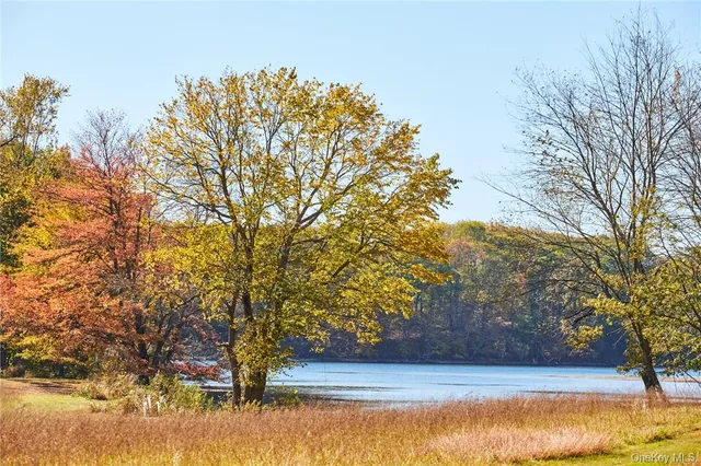 a view of backyard with tree