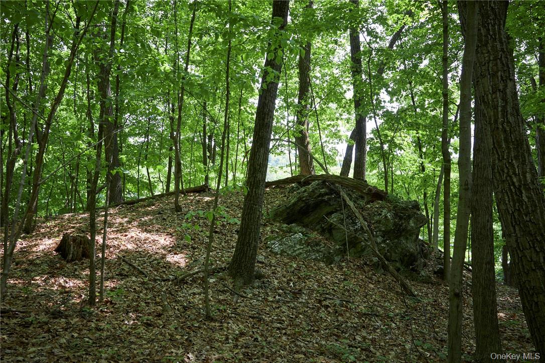 425 Spring Lake Road Red Hook, NY 12571 - Photo 21 of 23 a backyard of a house with lots of green space