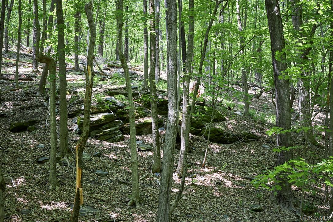 425 Spring Lake Road Red Hook, NY 12571 - Photo 22 of 23