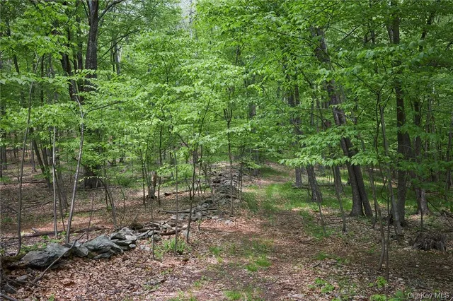 a backyard of a house with lots of green space and trees