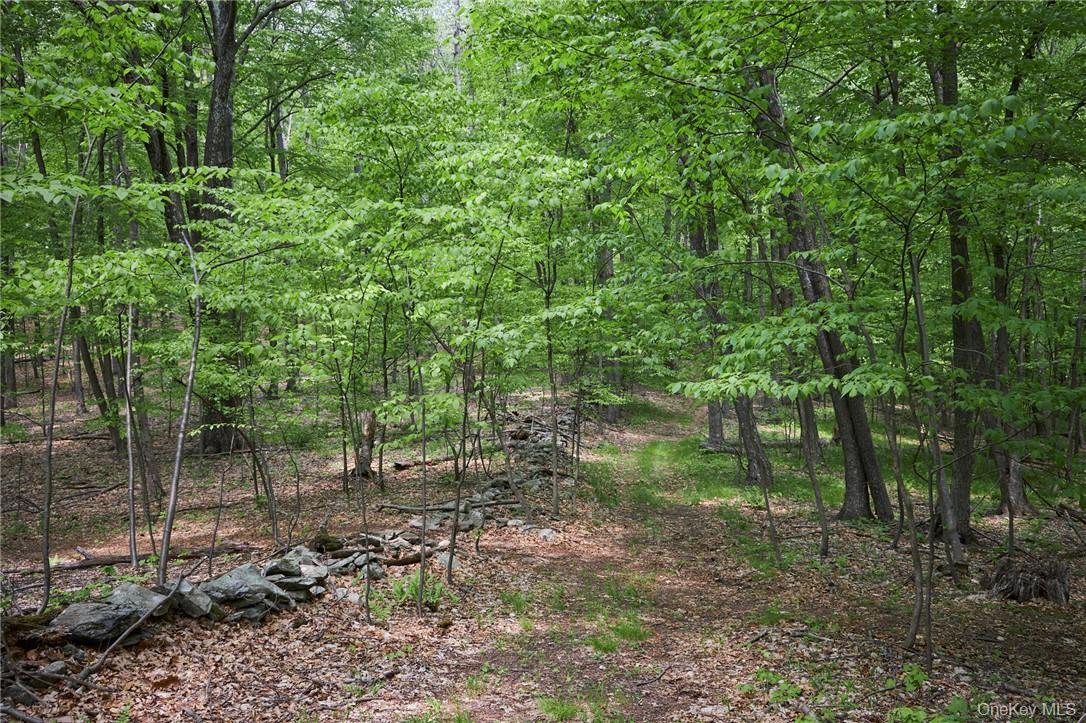425 Spring Lake Road Red Hook, NY 12571 - Photo 3 of 23 a backyard of a house with lots of green space and trees