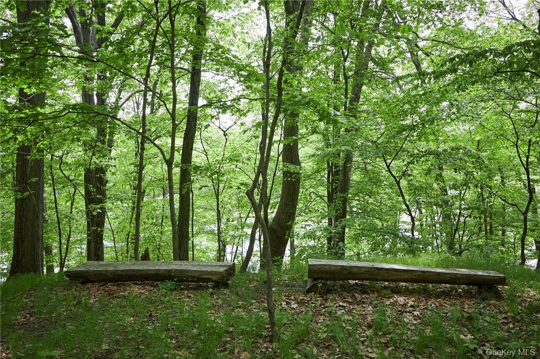 425 Spring Lake Road Red Hook, NY 12571 - Photo 4 of 23 a view of outdoor space and yard