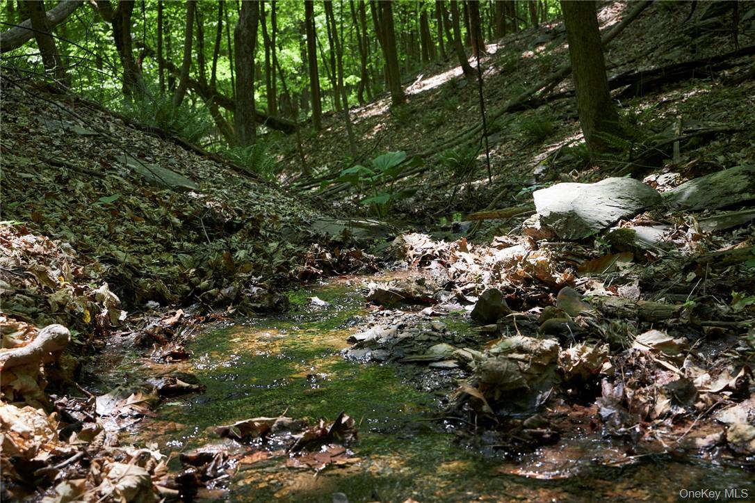 425 Spring Lake Road Red Hook, NY 12571 - Photo 5 of 23 a view of grapes plant