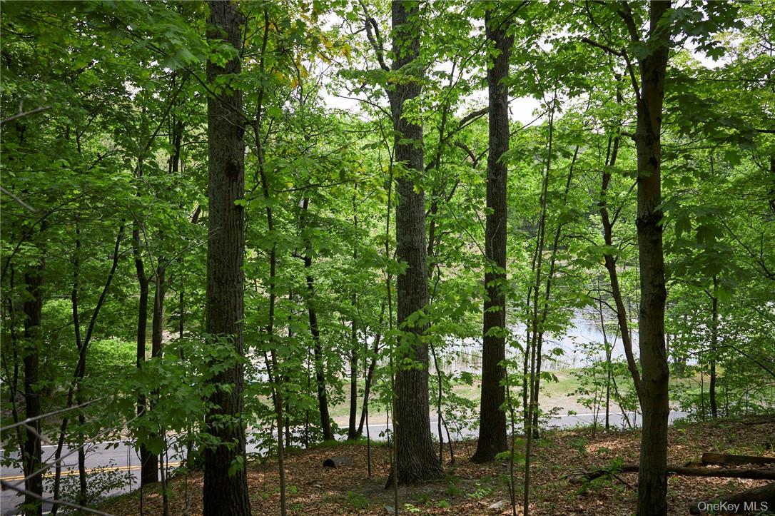 425 Spring Lake Road Red Hook, NY 12571 - Photo 6 of 23 a view of forest