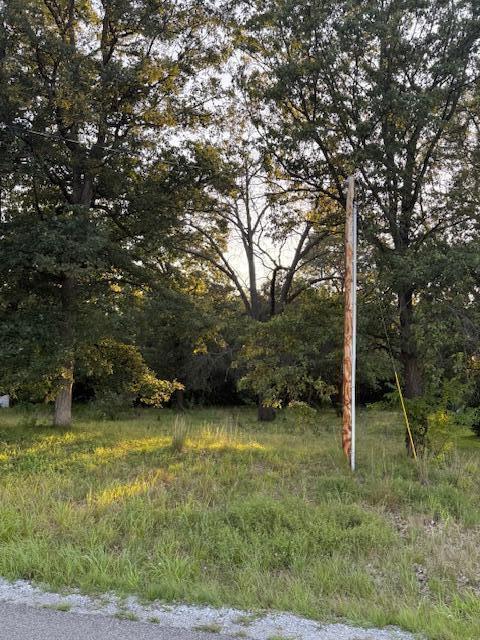 0 1000th Street West Demotte, IN 46310 - Photo 3 of 3 a view of a tree in a yard