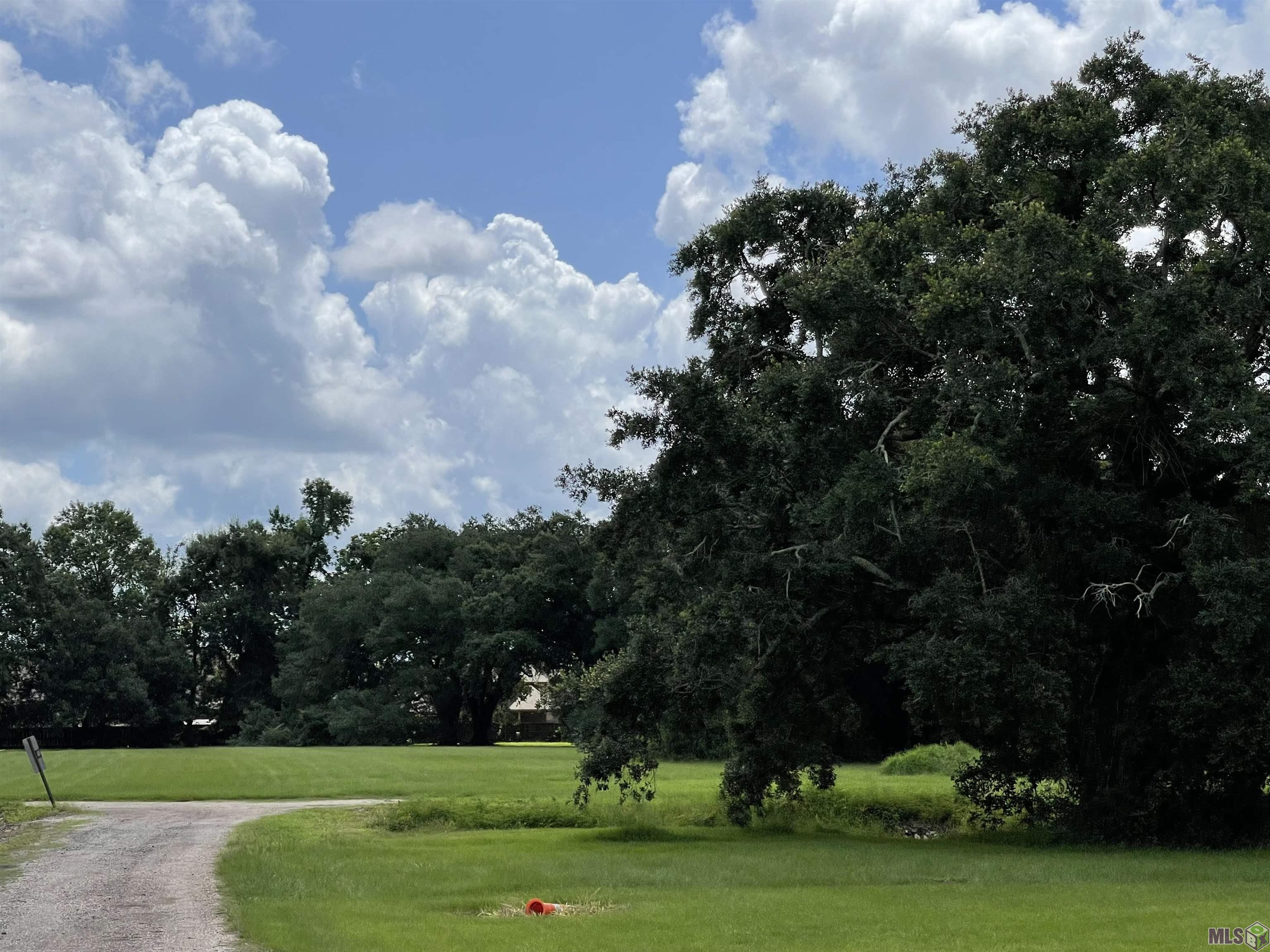 4 A Jackson Oaks Rd. Road Geismar, LA 70734 - Photo 1 of 11 BEAUTIFUL OAK TREE