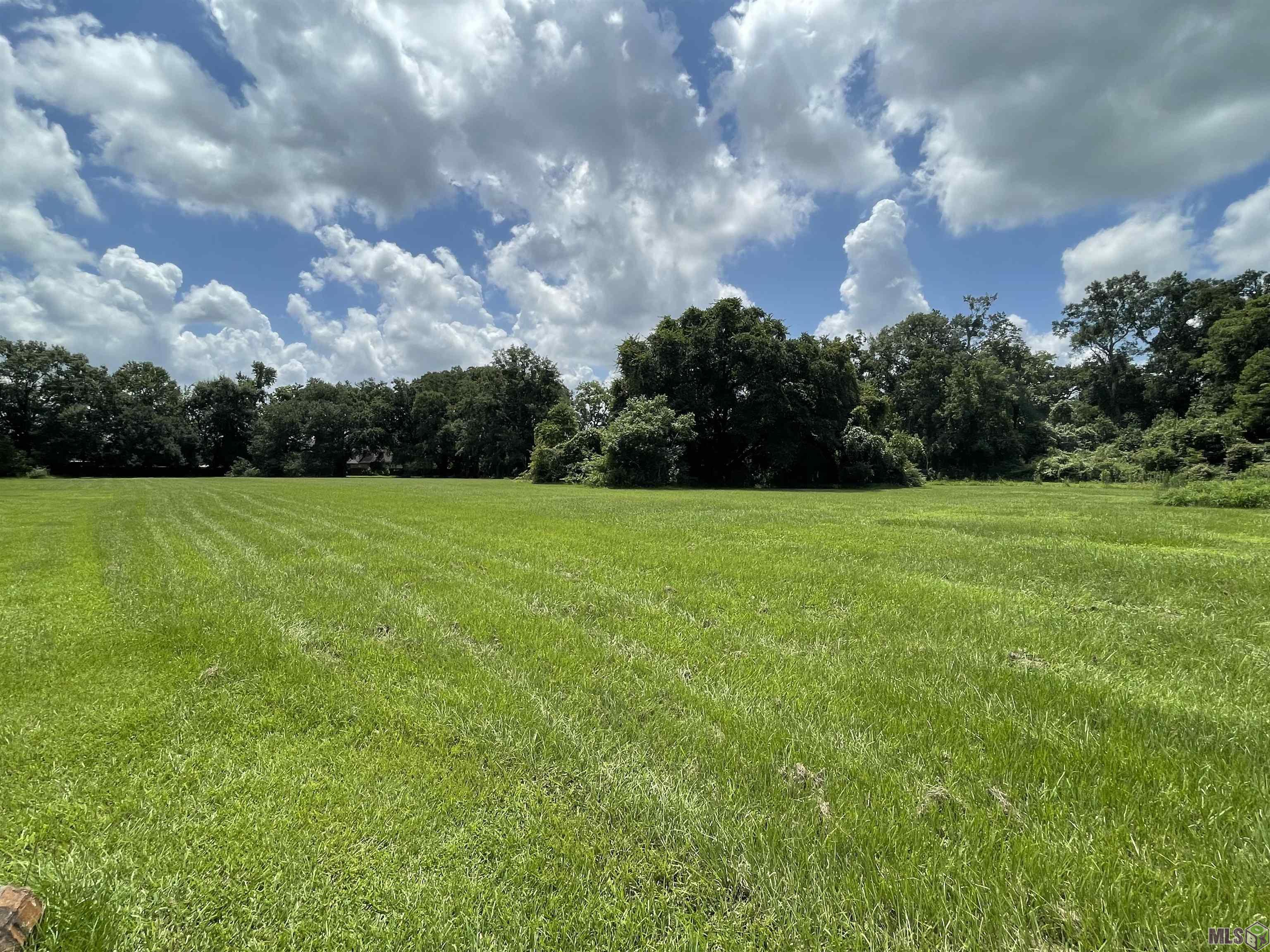4 A Jackson Oaks Rd. Road Geismar, LA 70734 - Photo 2 of 11 LARGE LAND FOR YOUR DREAM HOME