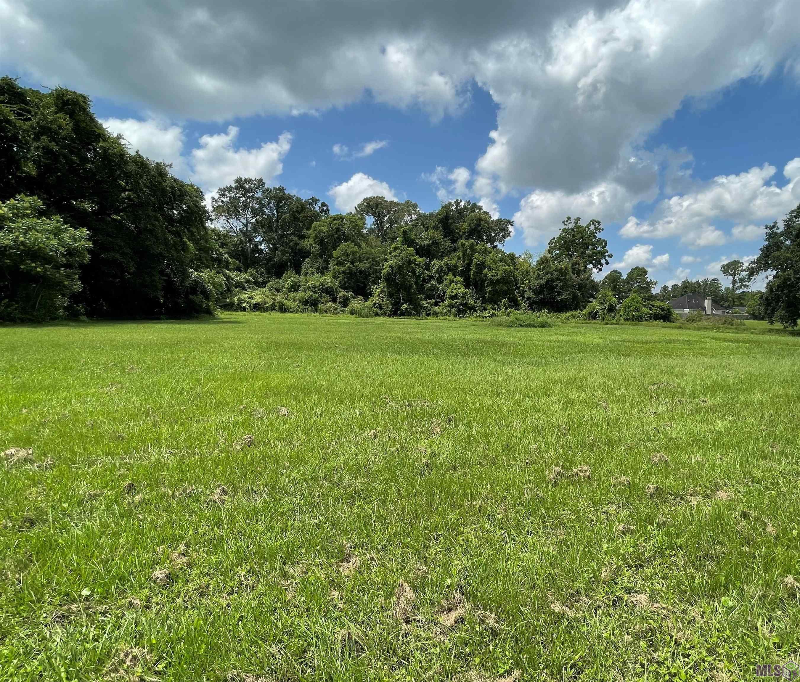 4 A Jackson Oaks Rd. Road Geismar, LA 70734 - Photo 3 of 11 Gallery Image 3