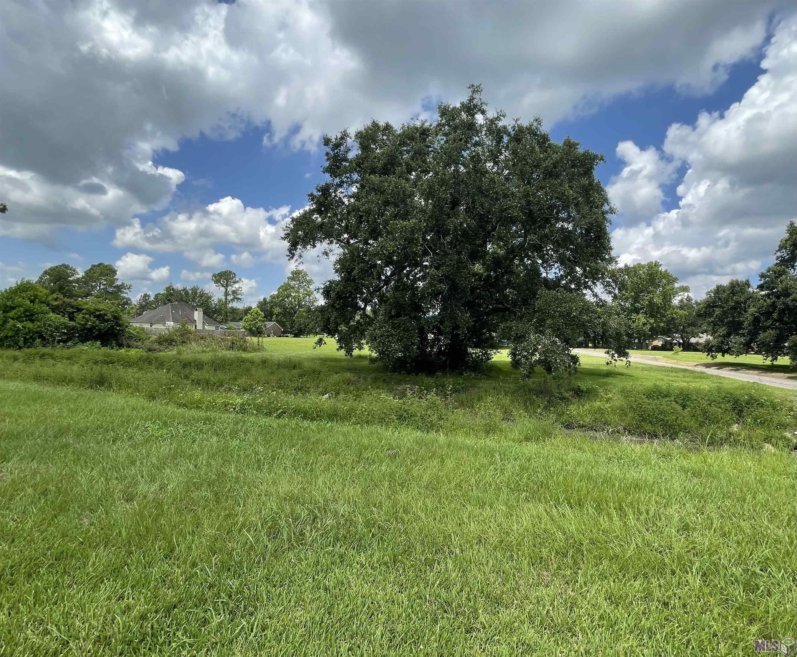 4 A Jackson Oaks Rd. Road Geismar, LA 70734 - Photo 4 of 11 Gallery Image 4
