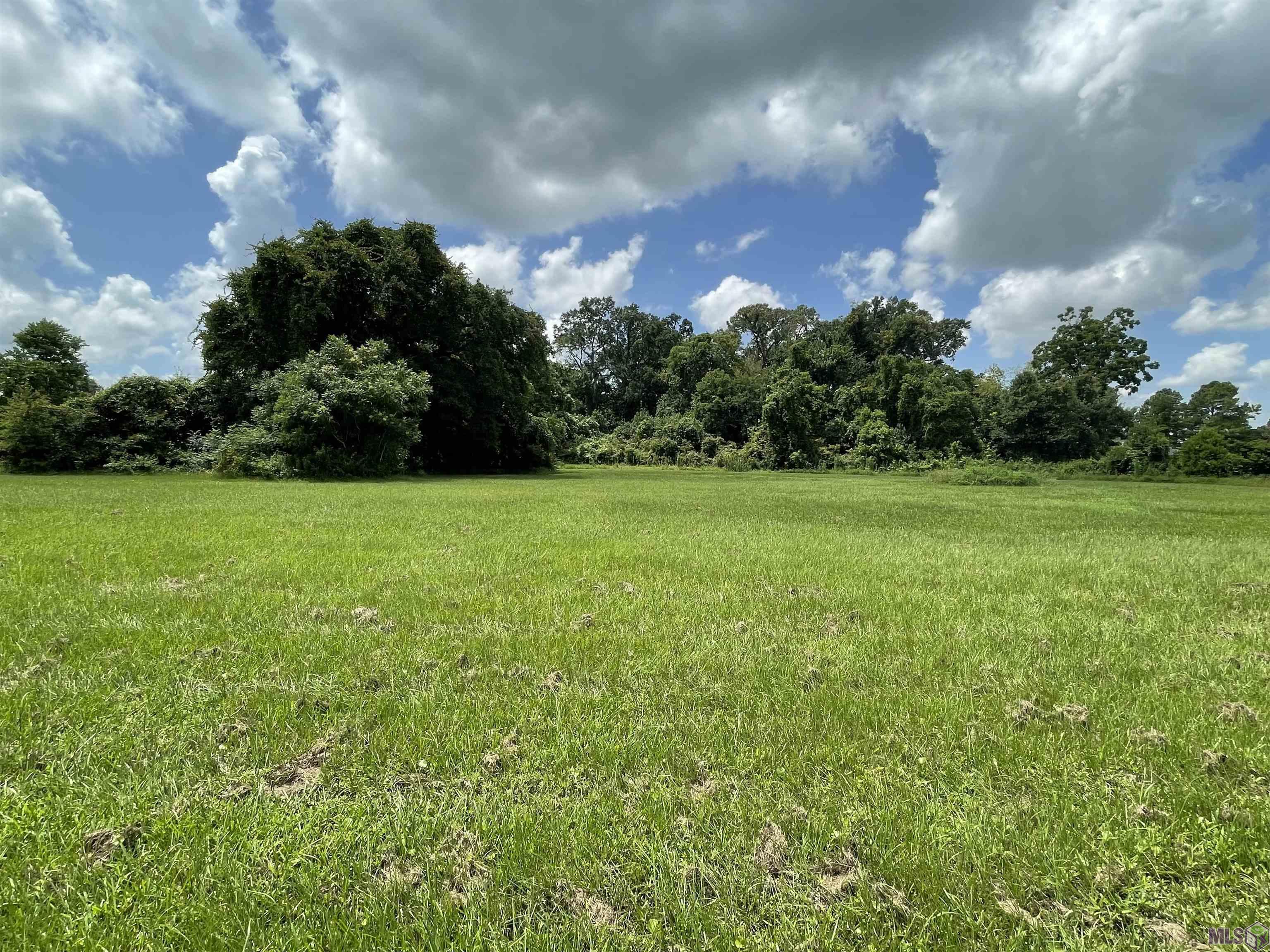 4 A Jackson Oaks Rd. Road Geismar, LA 70734 - Photo 5 of 11 Gallery Image 5