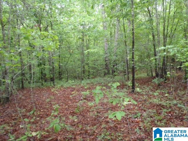 0 Shocco Springs Road, Unit 40 5 AC Talladega, AL 35160 - Photo 28 of 30