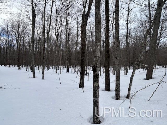 53554 North Superior Road Houghton, MI 49931 - Photo 13 of 41