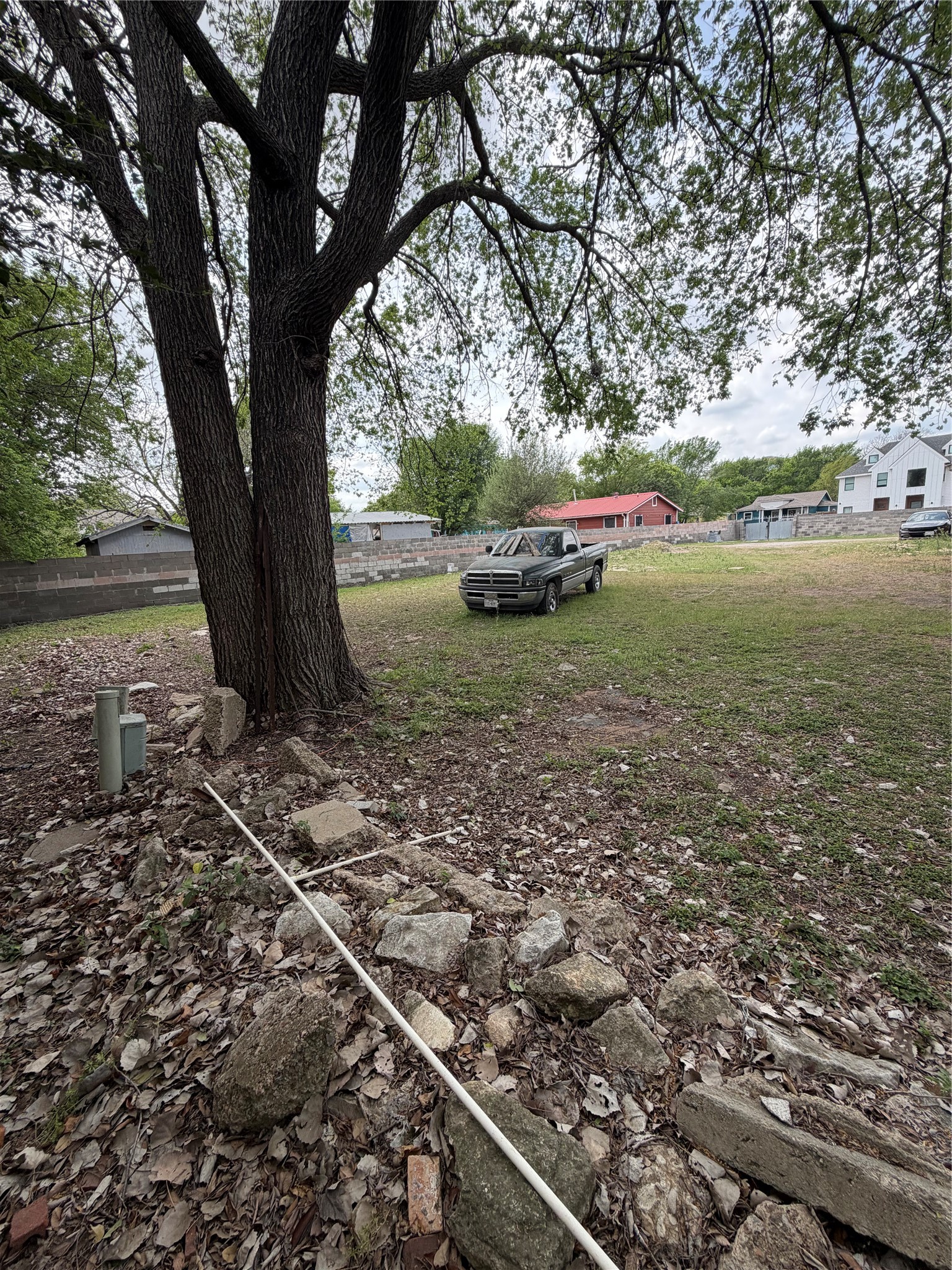 1125 Brookswood Avenue Austin, TX 78721 - Photo 3 of 6 a backyard of a house with lots of green space