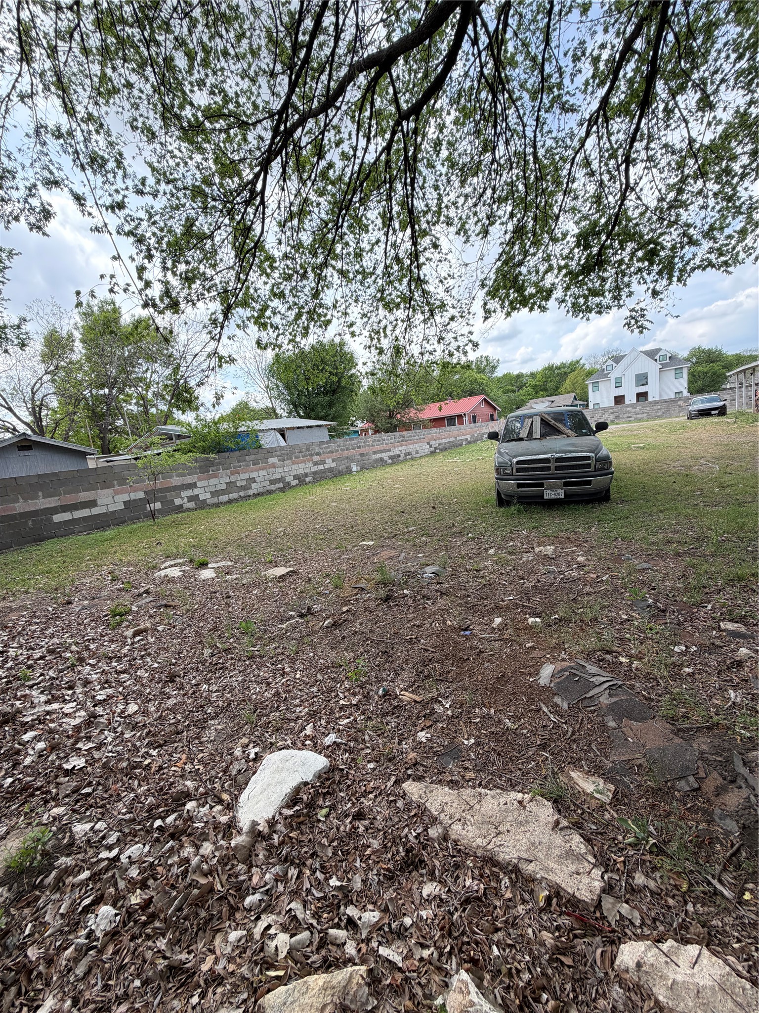 1125 Brookswood Avenue Austin, TX 78721 - Photo 5 of 6 a view of a yard with large trees